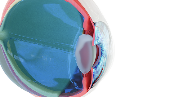 постер на главной десктоп