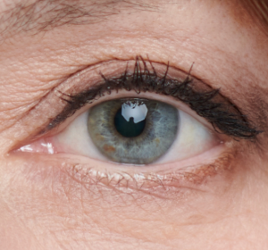 Онлайн-тестирование